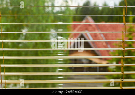 View through window blinds on a tree top and a house with red roof Stock Photo