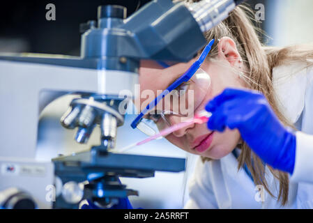 Young science student performing biotechnological experiment in laboratory Stock Photo