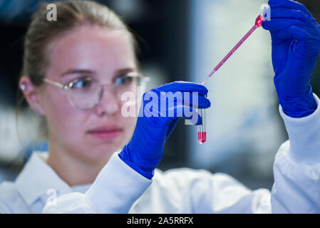 Young science student performing biotechnological experiment in laboratory Stock Photo