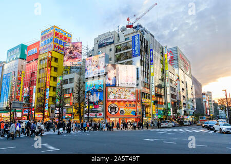Tokyo, Akihabara, The main shopping street, Chuo Dori. People crossing the street at zebra crossing. Stores and cafes background. Golden Hour, evening Stock Photo