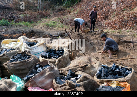 Production of charcoal at the village of Umsolaith, Khasi Hills - St. Francis Eco-Spirituality Center in Orlong Hada, Meghalaya state, India, Asia Stock Photo