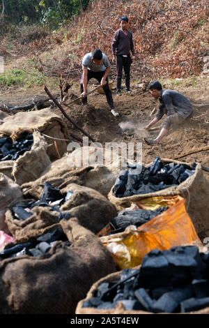 Production of charcoal at the village of Umsolaith, Khasi Hills - St. Francis Eco-Spirituality Center in Orlong Hada, Meghalaya state, India, Asia Stock Photo