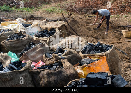 Production of charcoal at the village of Umsolaith, Khasi Hills - St. Francis Eco-Spirituality Center in Orlong Hada, Meghalaya state, India, Asia Stock Photo