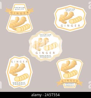 Vector icon illustration logo for whole spice herb seasoning yellow root ginger. Ginger pattern consisting of natural organic food label, cut peel, sl Stock Vector