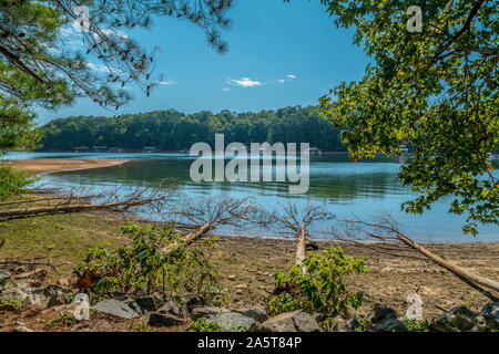 Several trees fallen down on the beach from erosion caused by a drought on Lake Lanier, Georgia on a bright sunny day in autumn Stock Photo