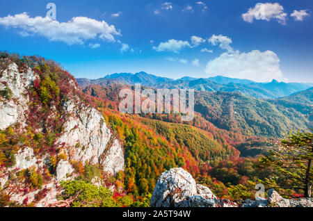 Autumn in Buila Vanturarita, Carpathian Mountains, Romania. Vivid fall colors in forest. Scenery of nature with sunlight through branches of trees. Co Stock Photo