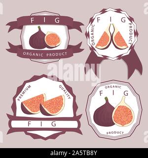 Vector icon illustration logo for whole ripe fruit purple fig, slice half sycamine. Fig pattern consisting of natural design tropical tasty food. Eat Stock Vector
