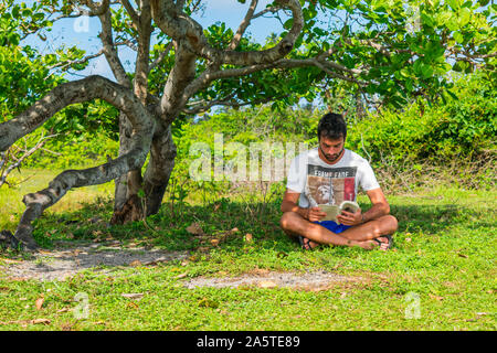 Arembepe, Brazil - Circa September 2019: Young man reading in nature, sitting on the grass under a cashew tree Stock Photo