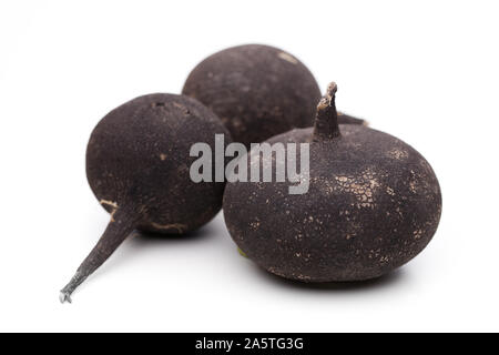Black radish isolated on white background Stock Photo
