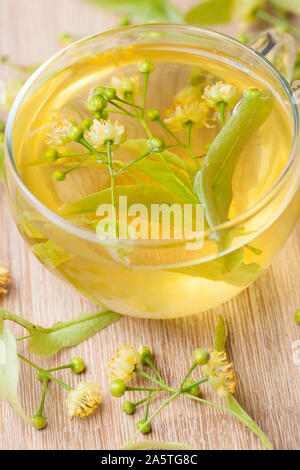 Linden blossom tea with fresh flowers Stock Photo