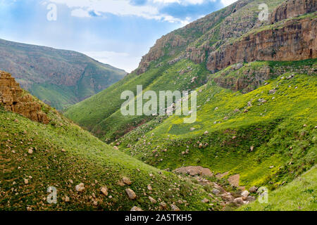 Wadi Auja gorge in spring, Ramallah and al-Bireh Governorate, West Bank, Palestine. Stock Photo