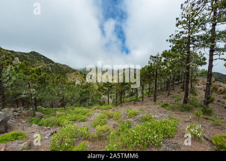 One of the tight turns of a narrow rural road in the mountains of Parque Natural Majona. View of the north-eastern part of La Gomera island. Canary Is Stock Photo