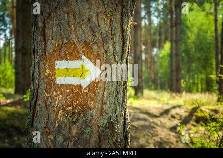 Yellow arrow of the hiking trail painted on a tree in the forest Stock Photo