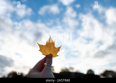 Orange leaf in woman's hand with silver peace sign thumb ring. Stock Photo