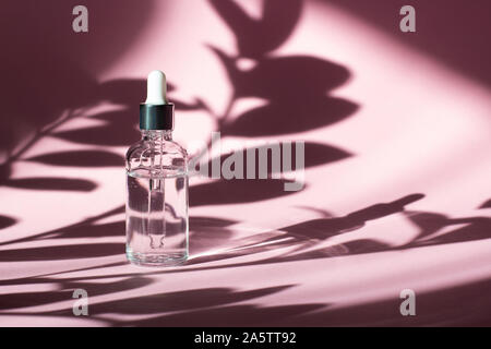 Cosmetic bottle with pipette. Transparent liquid product in glass bottle with dropper. Serum skin care on pastel pink background and plant shadows, front view with copy space. Beauty product mockup. Stock Photo