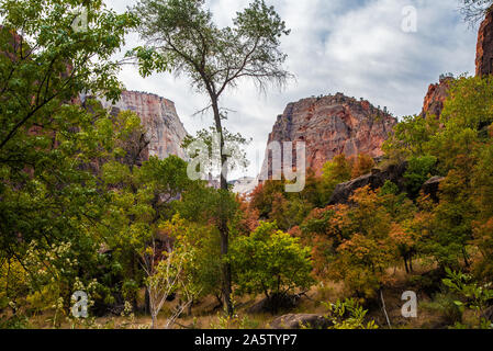 Zions National Park in the Fall.  Zions is magnificent any time of year, but Autumn in the park is a special experience. Stock Photo