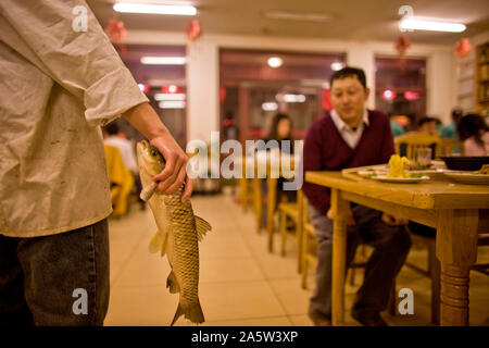 Fish being held by a man standing in a food hall. Stock Photo