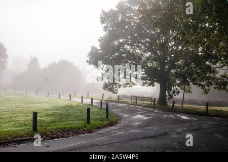 Misty autumnal morning on Southborough Common in Kent, Tunbridge Wells UK. Leaves are starting to fall and the landscape is looking beautiful Stock Photo