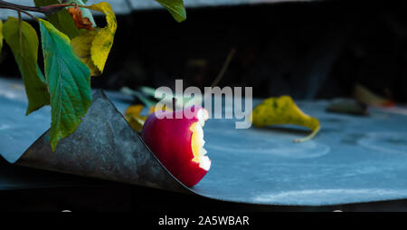 Apple bitten laid out on a metallic floor in blue and white. Stock Photo