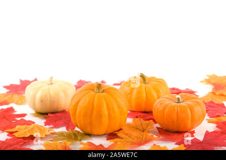 Four Pumpkins with bright coloured leaves Stock Photo
