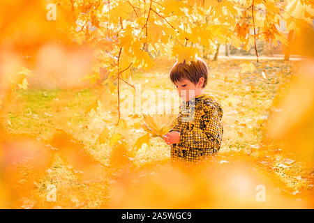 Beautiful boy among golden autumn leaves. Melancholy mood. Retrospective, conceptual. Recollaction, refreshment concept. Non-urban scene. Childhood background. Child on a walk. Atmospheric photography Stock Photo