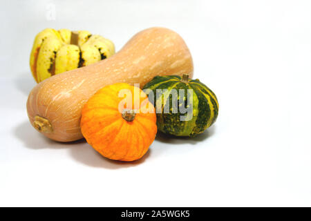 Group of pumpkins of different types and colors on white background. Isolated Stock Photo