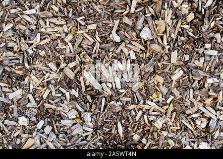 Wood chips background Stock Photo