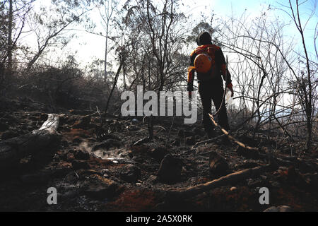 Gowa, Indonesia, 23rd Oct 2019. A firefighter saw the condition of the land in the forests of Mount Bawakaraeng, which was burned. The forest fires on Mount Bawakaraeng had occurred since Sunday, October 20, 2019, and up to now cannot be extinguished, even though the joint team has been deployed to the location. Credit: Herwin Bahar/Alamy Live News Stock Photo