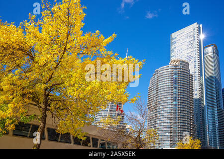 Toronto Condominium in a trendy district facing scenic Ontario lakeshore Stock Photo