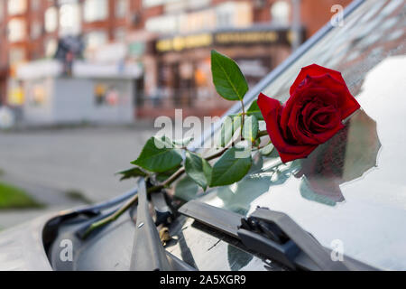 Forgotten red rose on the windshield of a car dries in the air Stock Photo