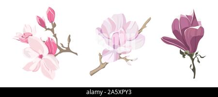 Set of magnolia flowers in flat style isolated on white background. Vector illustration Stock Vector