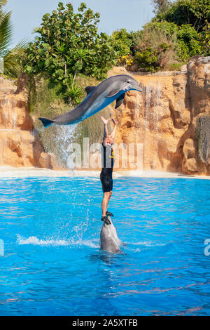 Show with a trainer and dolphins in the pool at the Loro Park (Loro Parque). Puerto de la Cruz, Tenerife, Spain