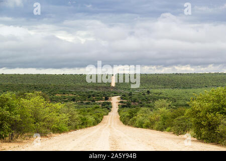 Long gravel road to the horizon, surrounded by bushland, Namibia, Africa Stock Photo