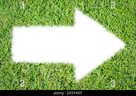 Green grass ecological arrow icon on over white background Stock Photo