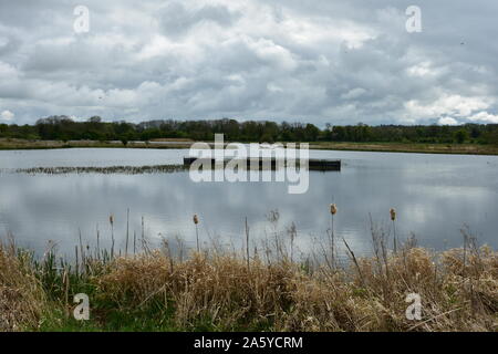 Lagoon, Staveley Nature Reserve 5, Yorkshire Stock Photo - Alamy