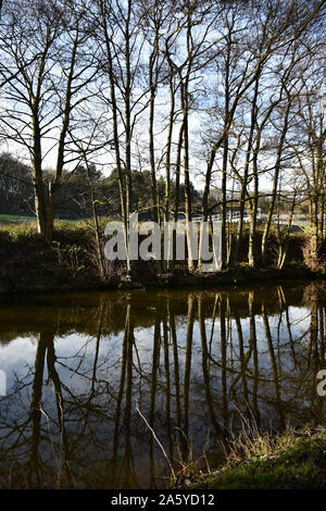 Reflections, Leeds Liverpool canal,  Apperley Bridge 3 Stock Photo