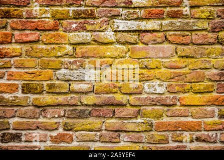Old masonry wall with deep joints, a large variety of colored bricks and lots of lichen, dirt and other impuriies Stock Photo