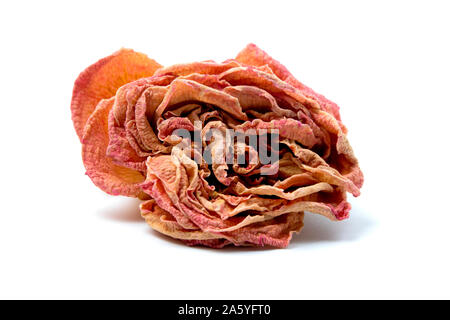 Rose potpourri on a white background Stock Photo