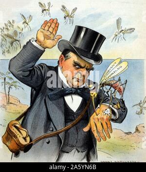Hit him hard! 1899. William McKinley about to swat 'insurgent Aguinaldo,' a mosquito, as other 'insurgent' mosquitoes prepare to attack him. Stock Photo