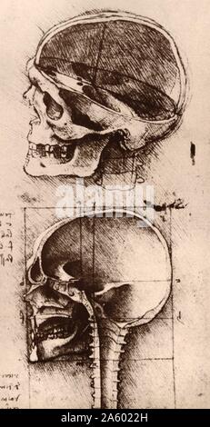 Early Renaissance, Studies of human skull, 1489. by Leonardo da Vinci 1452-1519 Stock Photo
