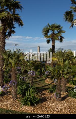 France, Brittany, Morbihan, Lorient, gardens of the Hôpital du Scorff (hospital), view over the steeple of the Eglise Saint Louis, Stock Photo