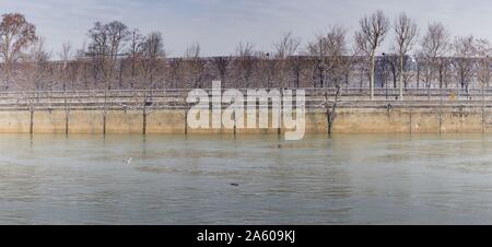 France, Ile de France region, Paris 1st arrondissement, Quai des Tuileries from the opposite bank, Paris flood, engulfed trees, Stock Photo