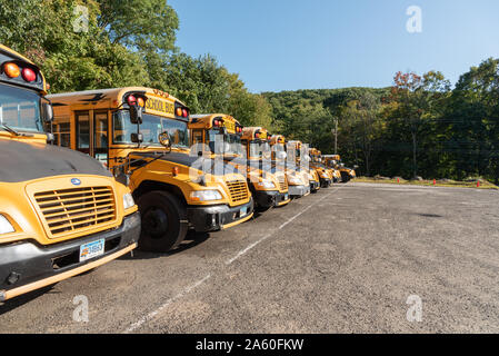 Classic American yellow school buses parked in Brooklyn in New York ...