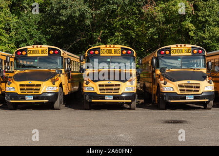 Classic American yellow school buses america Stock Photo