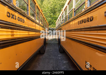 Classic American yellow school buses Stock Photo - Alamy