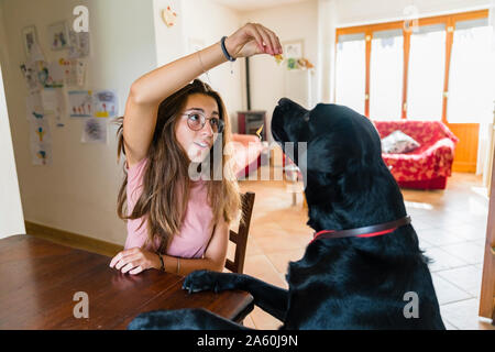 Girl playing with dog at table at home Stock Photo