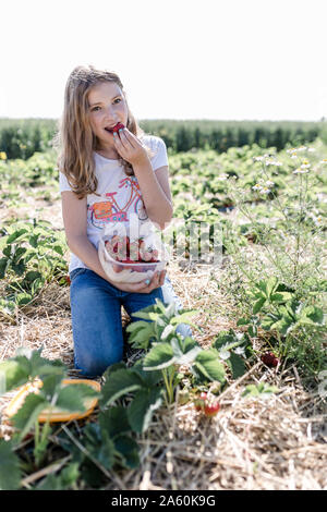 Portrait of girl eating picked strawberries on a field Stock Photo