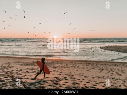 Rear view of running surfer on the beach at sunset, Costa Nova, Portugal Stock Photo