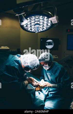 Surgeons during a foot surgery Stock Photo