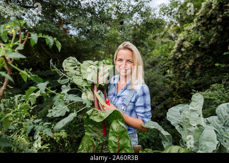 Blond smiling woman harvesting mangold Stock Photo
